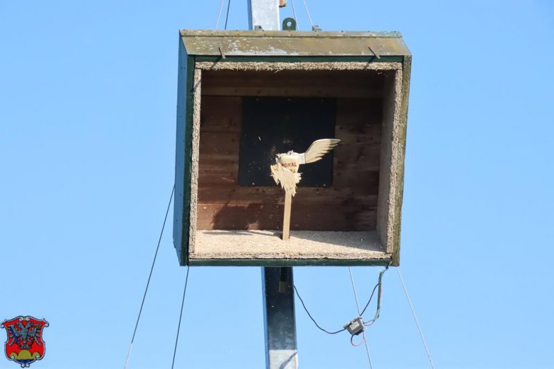 Schützenfestsonntag